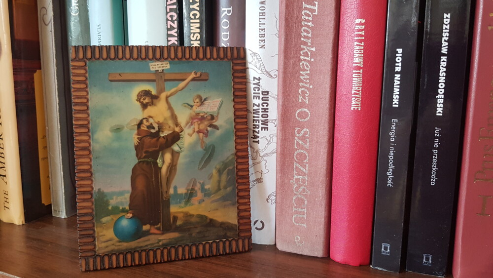 Święty na trudne czasy. Radość doskonała świętego Franciszka  