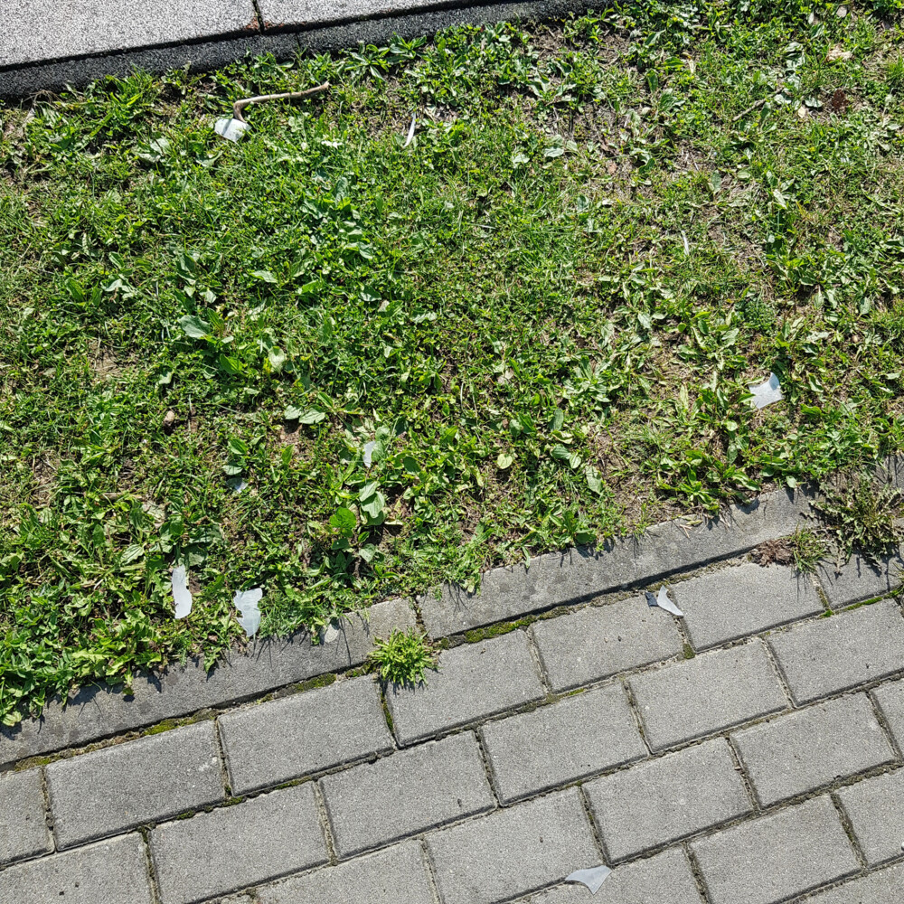 Zniszczenia na placu zabaw w Mogilnie