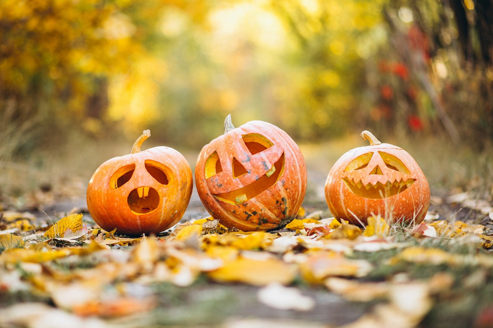 Halloween: kto obchodzi to święto w Polsce i dlaczego, czy korzystamy z tej okazji z promocji oferowanych przez sieci handlowe