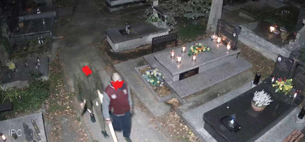Nawiedzali cmentarze w Starym i Nowym Sączu. Aż trudno uwierzyć w to, co robili