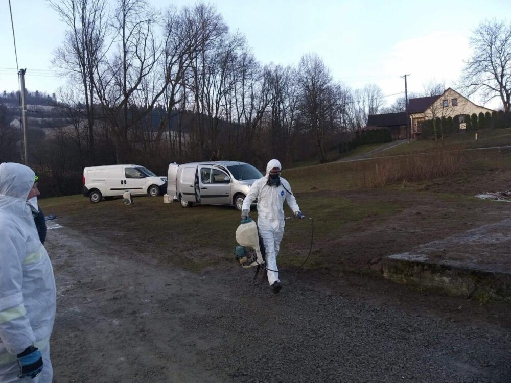 Zjadliwa ptasia grypa zaatakowała w naszym regionie. Już wiadomo, gdzie jest ognisko zarazy