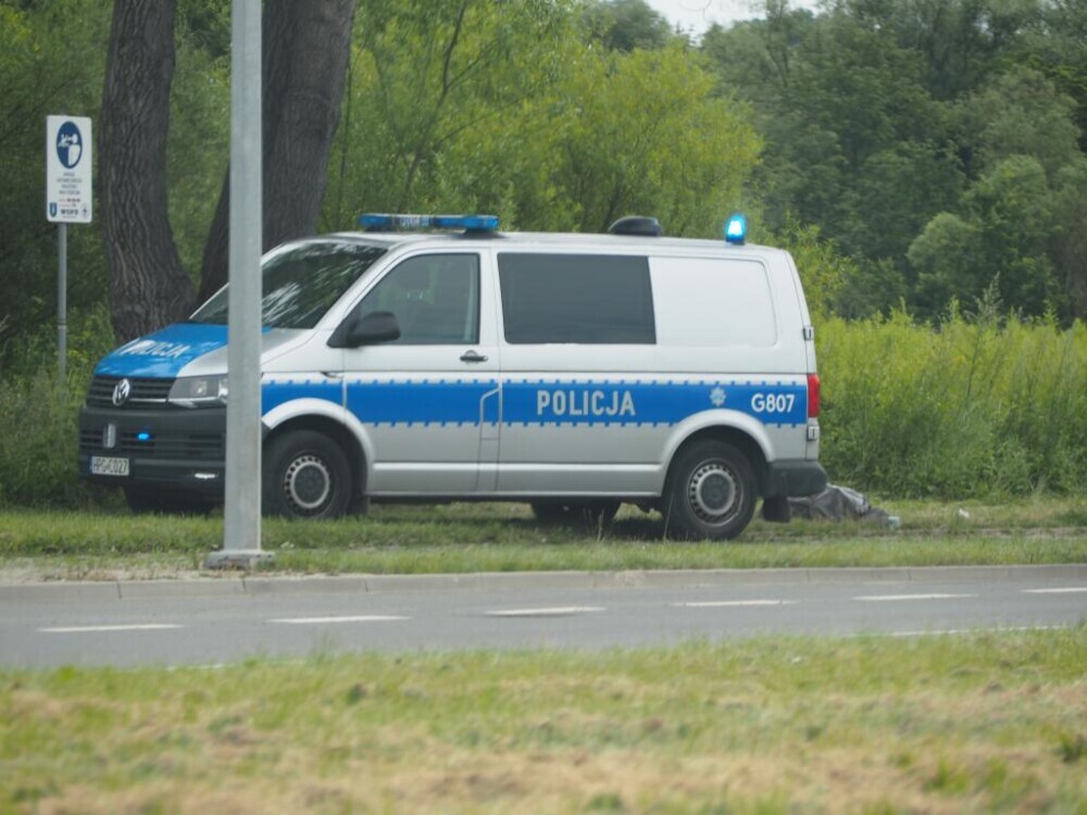 Szokujące znalezisko nad potokiem. Zobaczył dziesiątki martwych zwierząt 