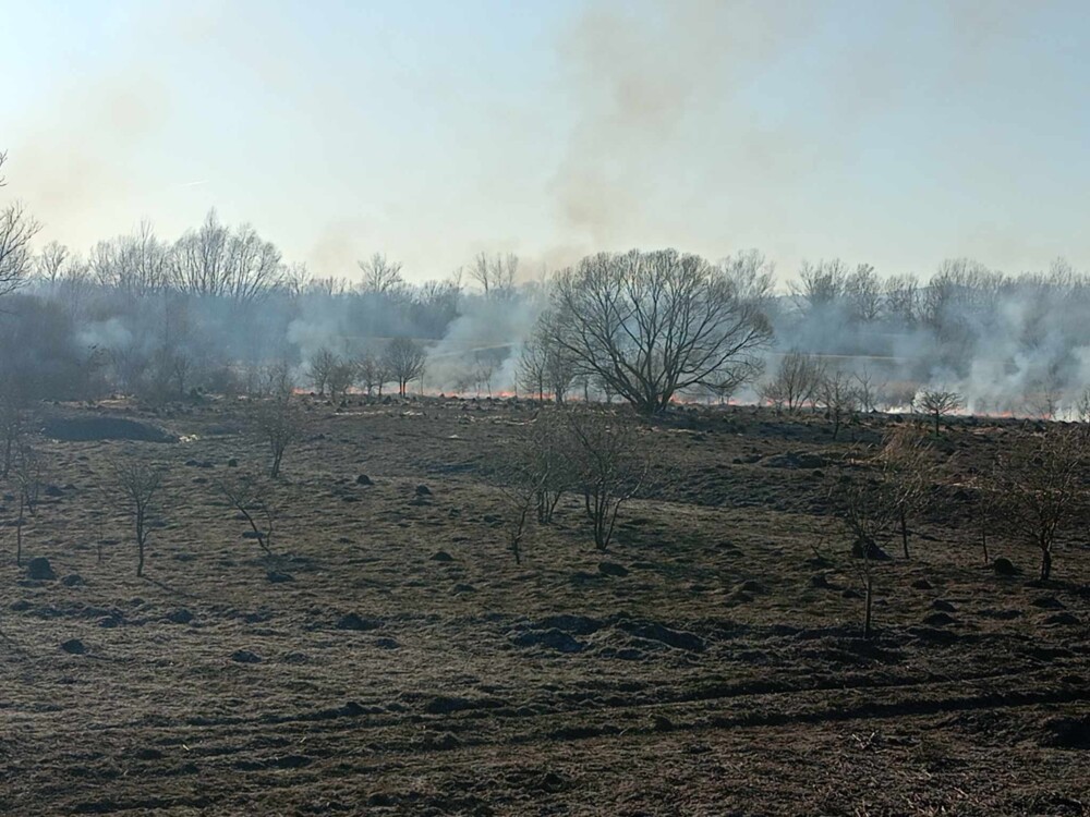 Pożar na sądeckich Wólkach. Dymy widoczne już z daleka [ZDJĘCIA] [WIDEO]