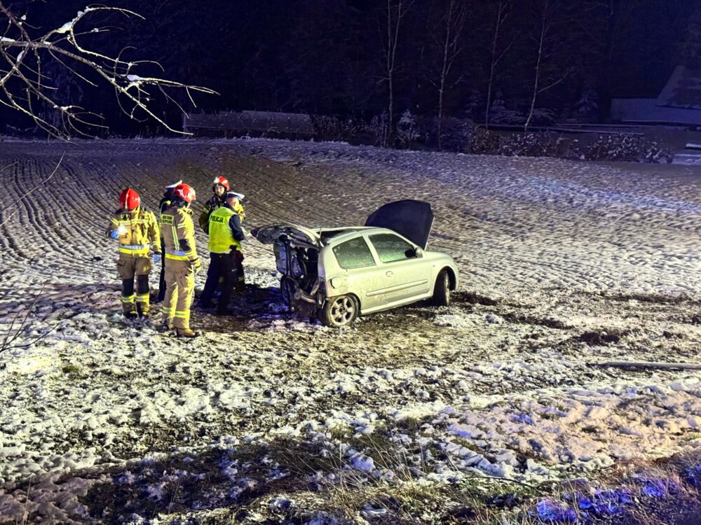 Wypadek w Starej Wsi. Samochód uderzył w drzewo, dwie osoby trafiły do szpitala
