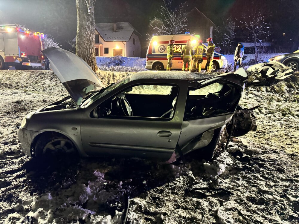 Wypadek w Starej Wsi. Samochód uderzył w drzewo, dwie osoby trafiły do szpitala