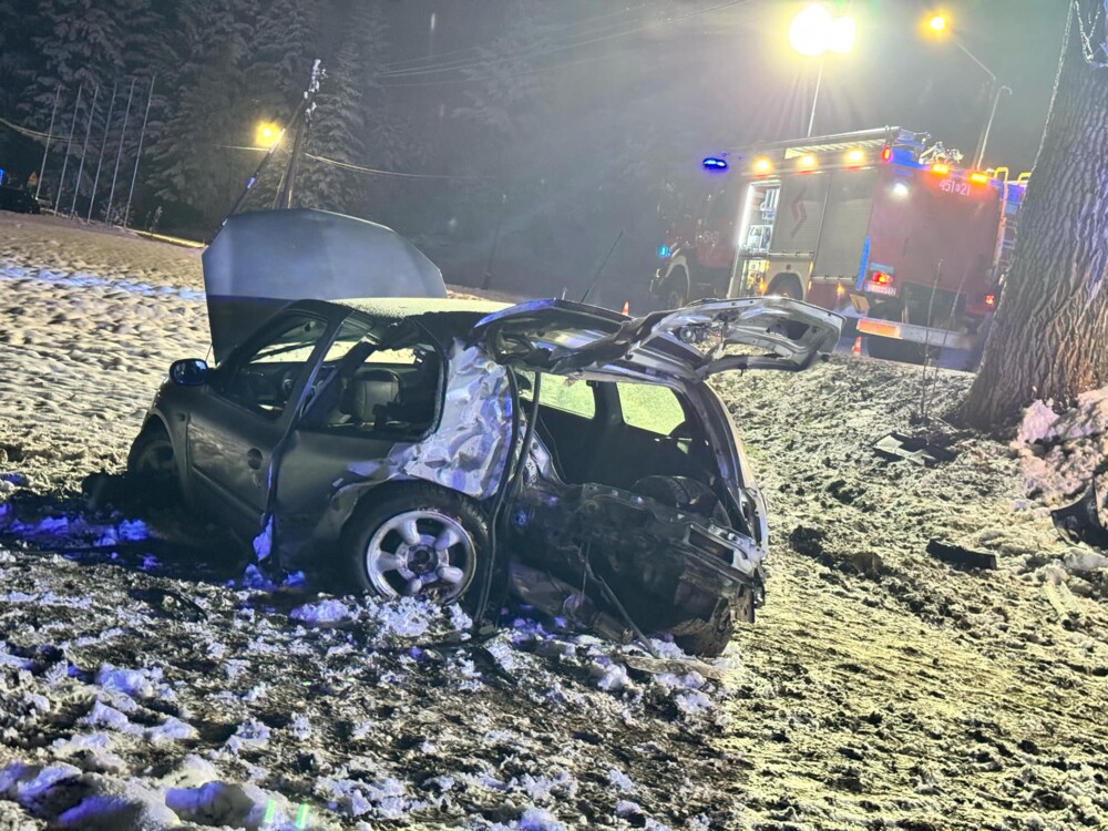 Wypadek w Starej Wsi. Samochód uderzył w drzewo, dwie osoby trafiły do szpitala