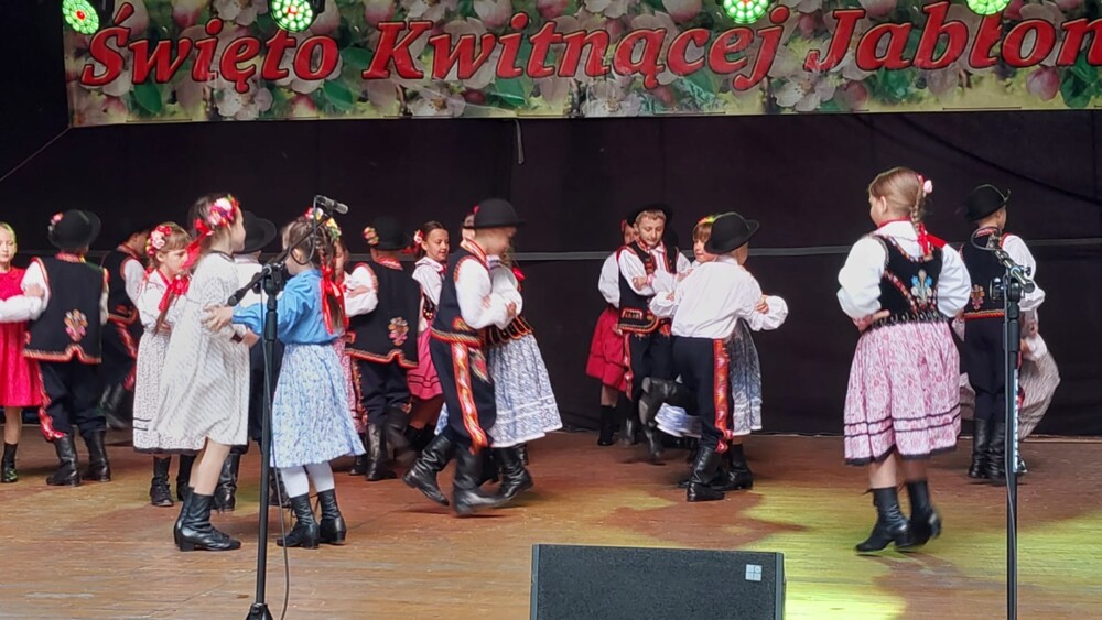 Święto Kwitnącej Jabłoni w Łącku. Nawet deszcz i zimno nie odebrały radości świętującym 