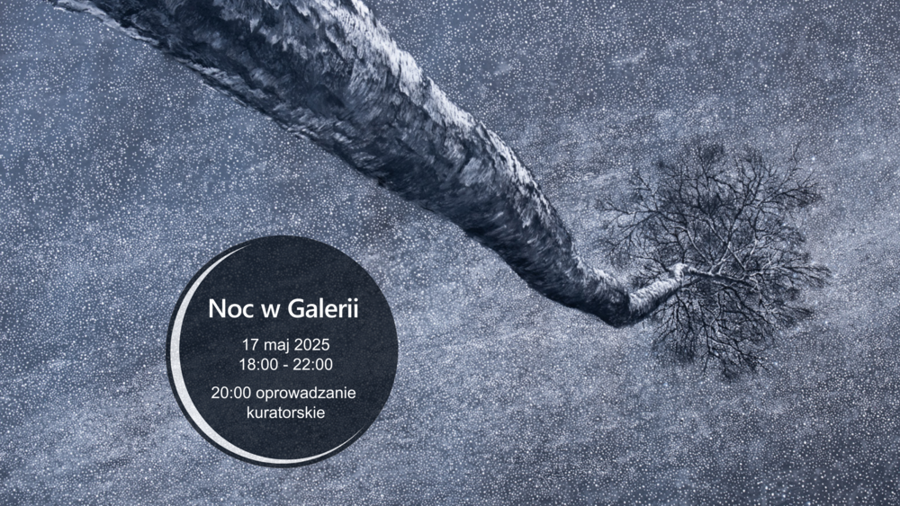 IMO Galeria dołącza do Nocy Muzeów 2025 i zaprasza na "Noc w Galerii"