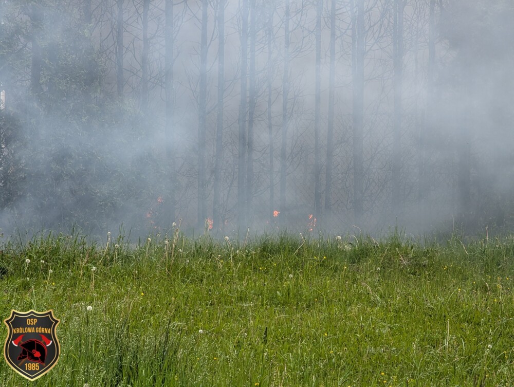 Pożar stolarni pod Nowym Sączem. Z ogniem walczyło kilkudziesięciu strażaków [ZDJĘCIA]