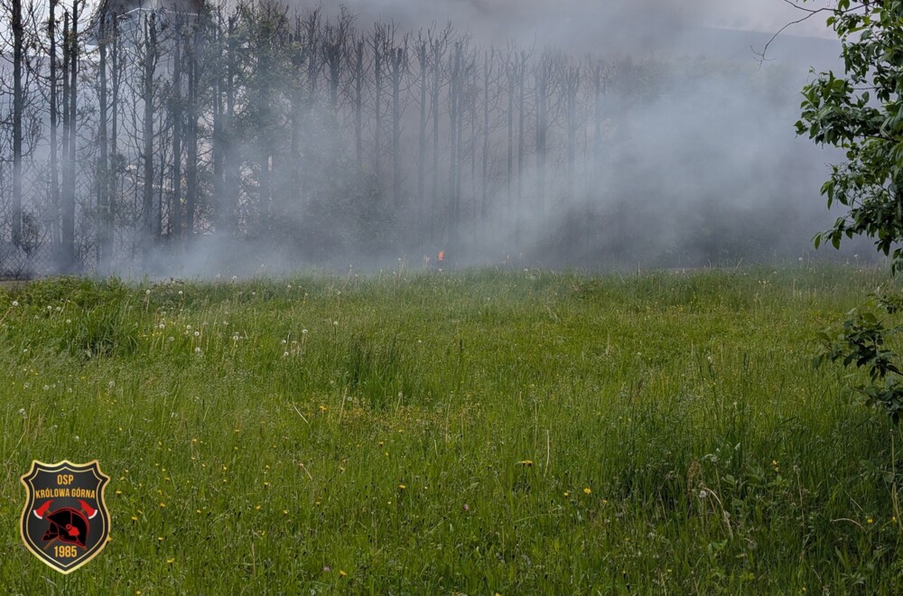 Pożar stolarni pod Nowym Sączem. Z ogniem walczyło kilkudziesięciu strażaków [ZDJĘCIA]