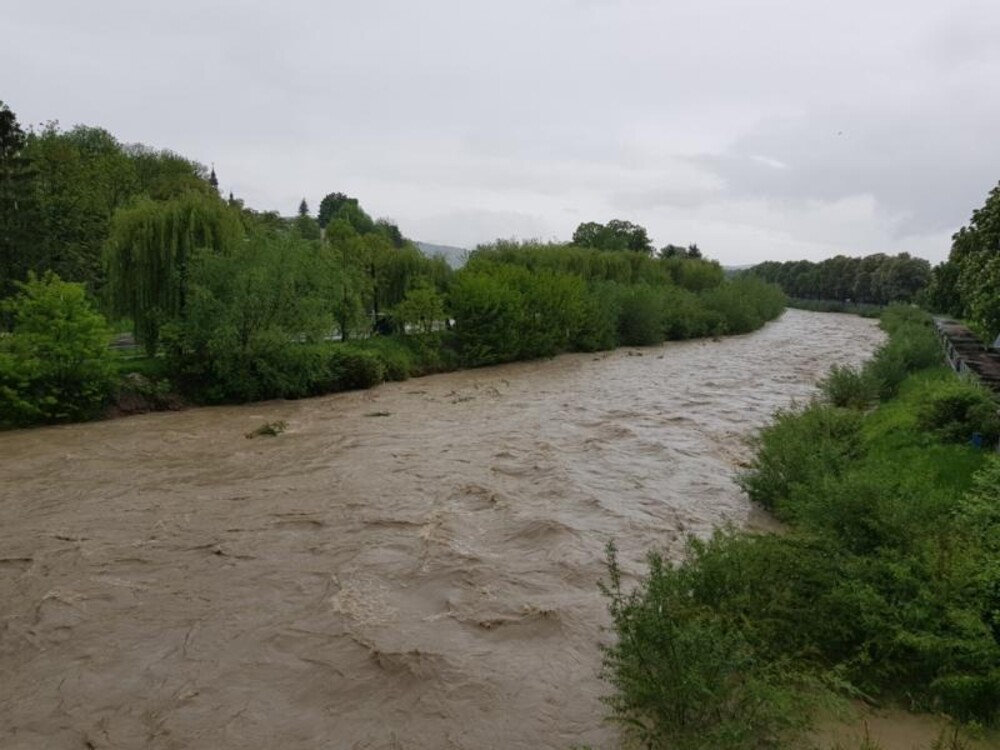 Fot. Iga Michalec