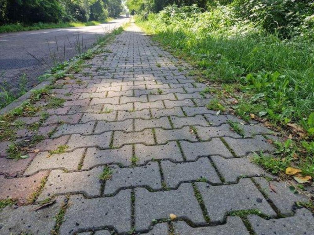 Chwasty nie będą już „zdobiły” chodników na osiedlu Biegonice. Może w innych miejscach też? 