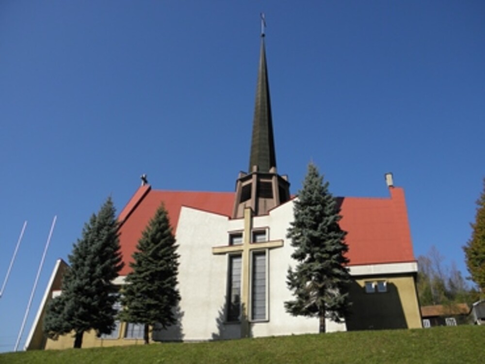 Zalesie