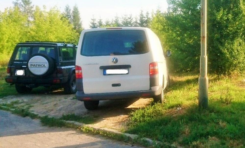 auta_na_trawniku_stary_sacz