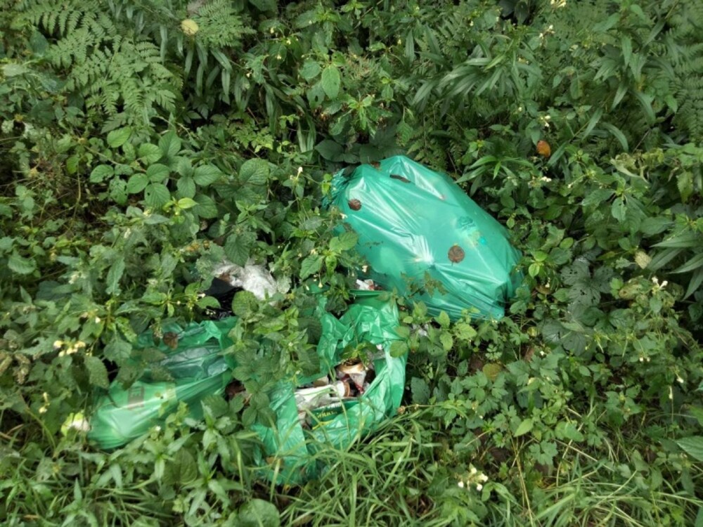 Wstyd! Najpierw urządzili sobie biwak, a worki ze śmieciami wyrzucili do lasu