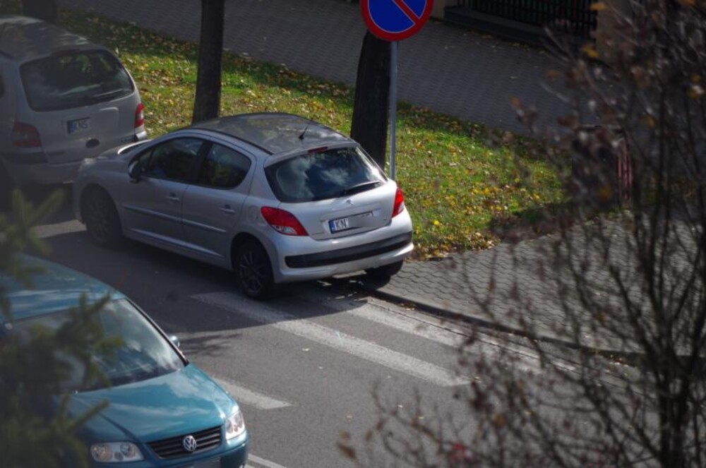 Rejestracje nie mają znaczenia. Kierowcy uparcie ignorują znaki w Nowym Sączu [ZDJĘCIA]