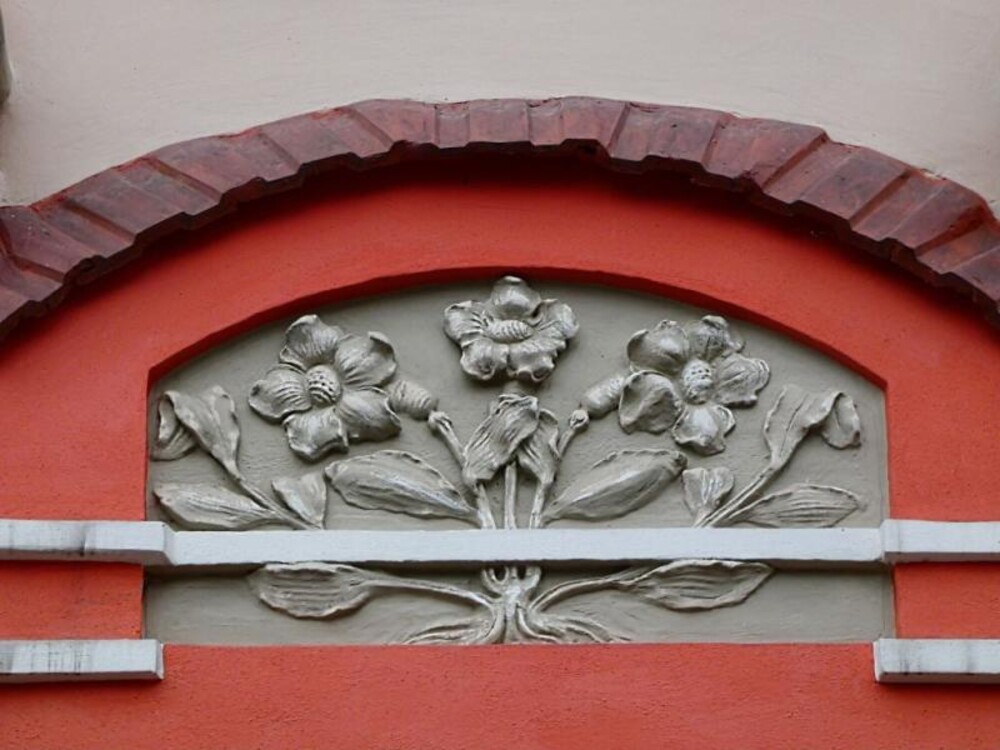 Fotozagadka: Gdzie znajdują się te niepowtarzalne rośliny?