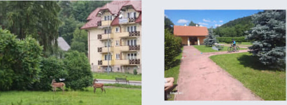 A jednak się udało. Zielony skwer na Czarnym Potoku w Krynicy pozostanie? 