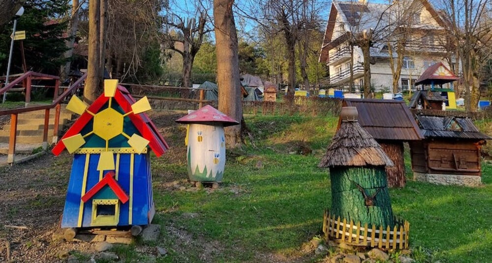 Gdy nadchodzi wiosna, pszczoły wylatują z uli i robią pierwszy oblot