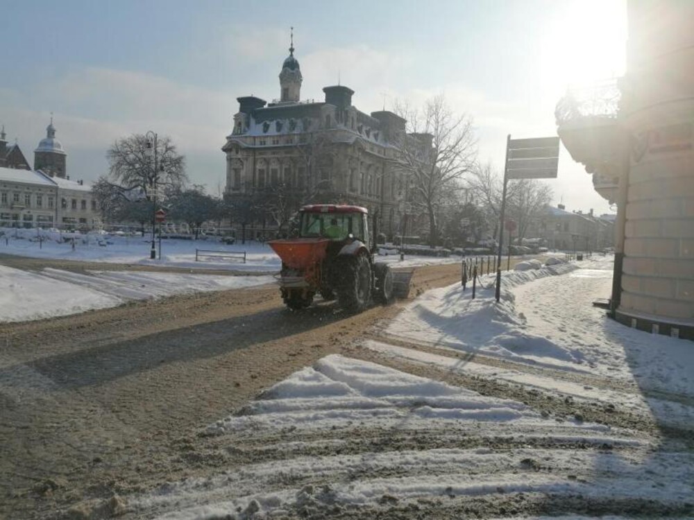 Straszna trucizna żywi mrozem w Nowym Sączu 