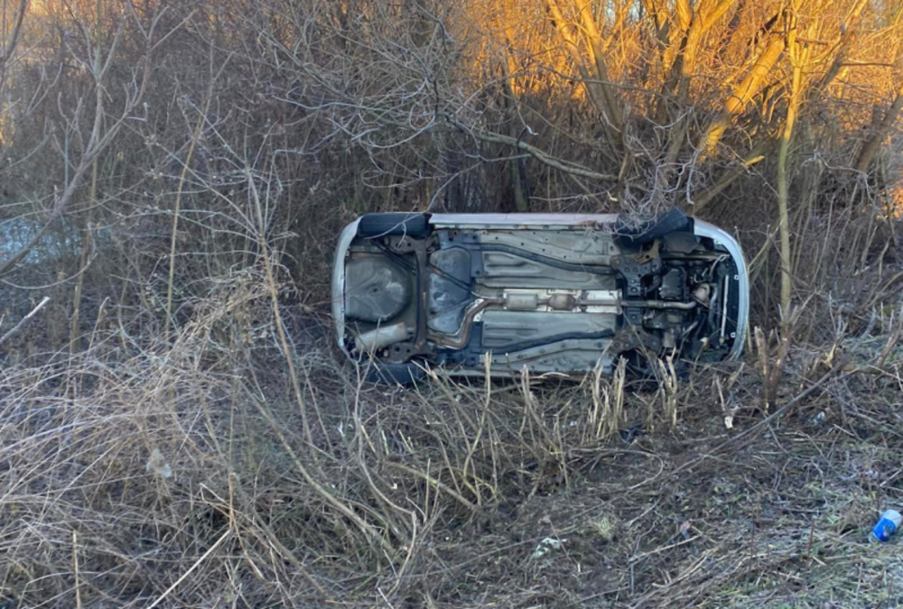 Wystarczyła dosłownie sekunda nieuwagi… Auto zatrzymało się na drzewie [ZDJĘCIA]