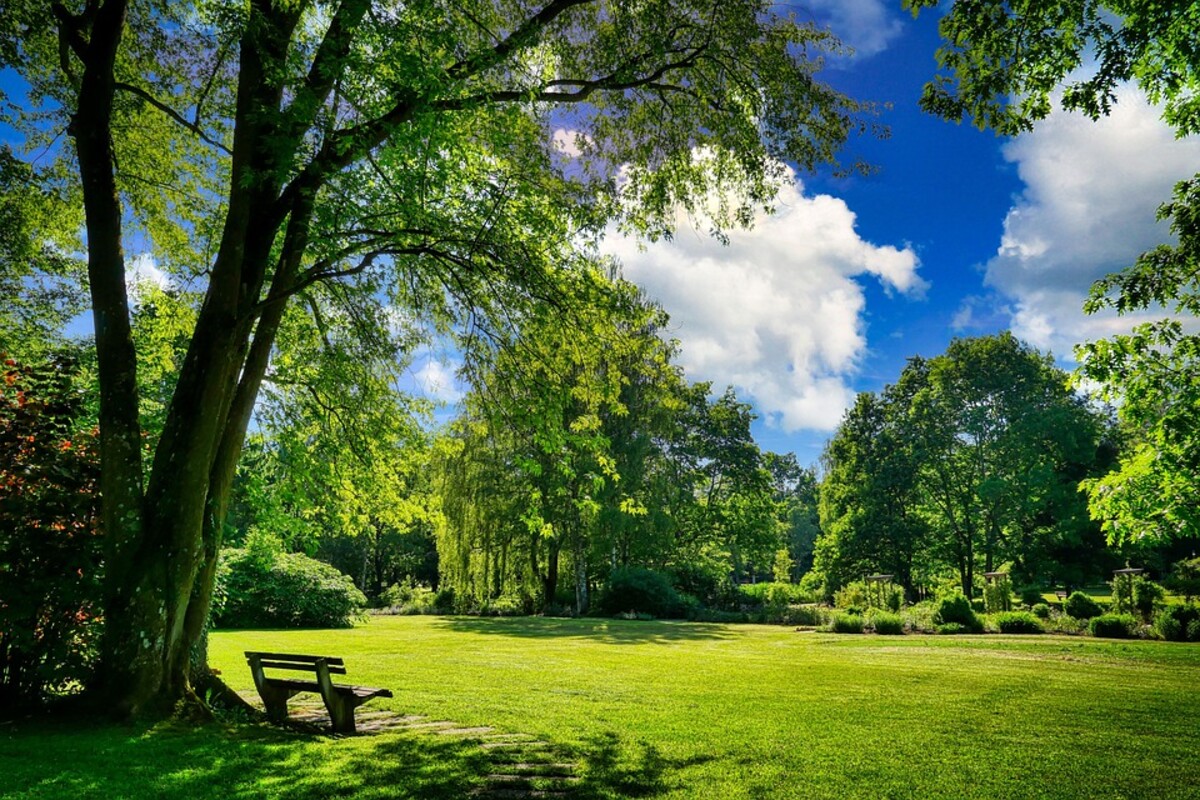 Transgraniczny Park Mużakowski. To podwójnie unikalny podmiot na pograniczu polsko-niemieckim 