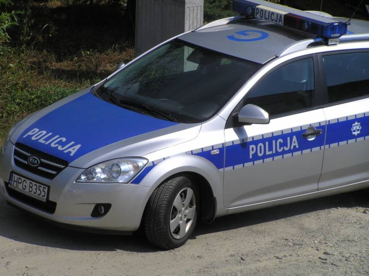 Sprawdzili, co na drodze robią piesi! Znowu posypało się mnóstwo mandatów