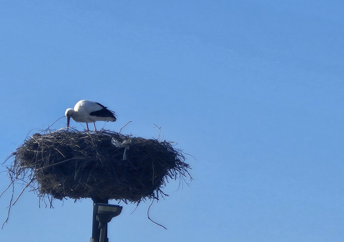 Fot. UG Łącko