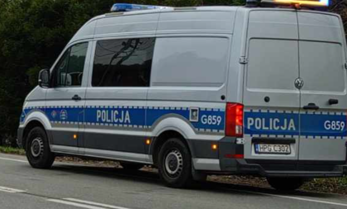 Wyciągnęli ręce po… młodego owczarka niemieckiego. Nieźle sobie przeskrobali! 